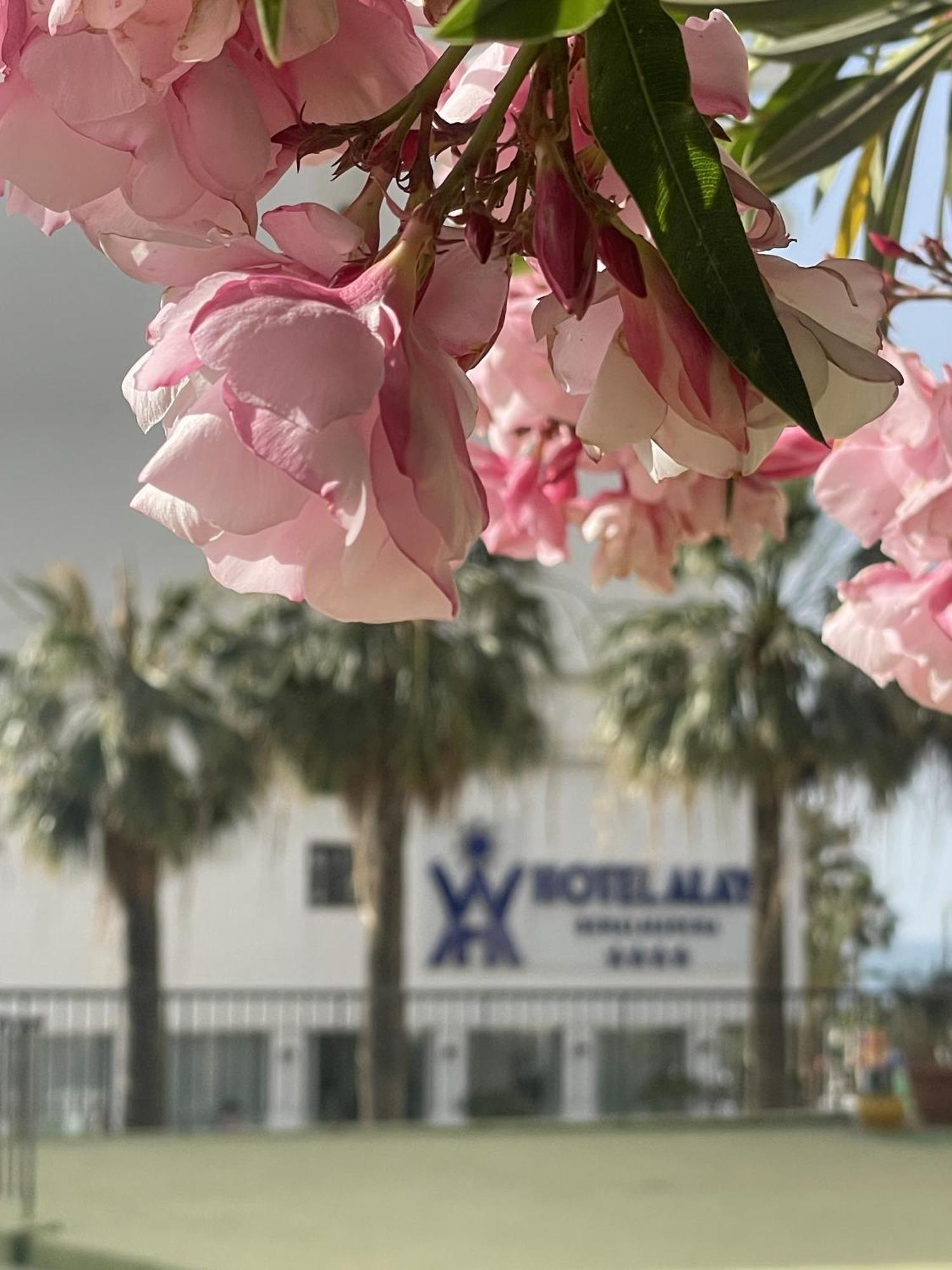 Alay Benalmadena Apartment ภายนอก รูปภาพ